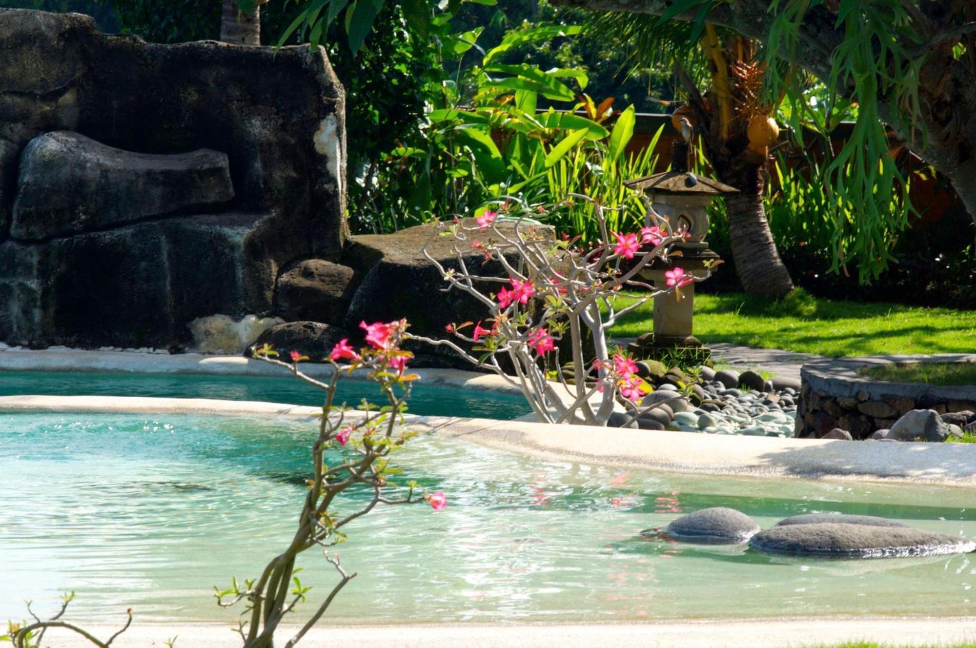 Lovina Villa Bali Pondok Jepang מראה חיצוני תמונה